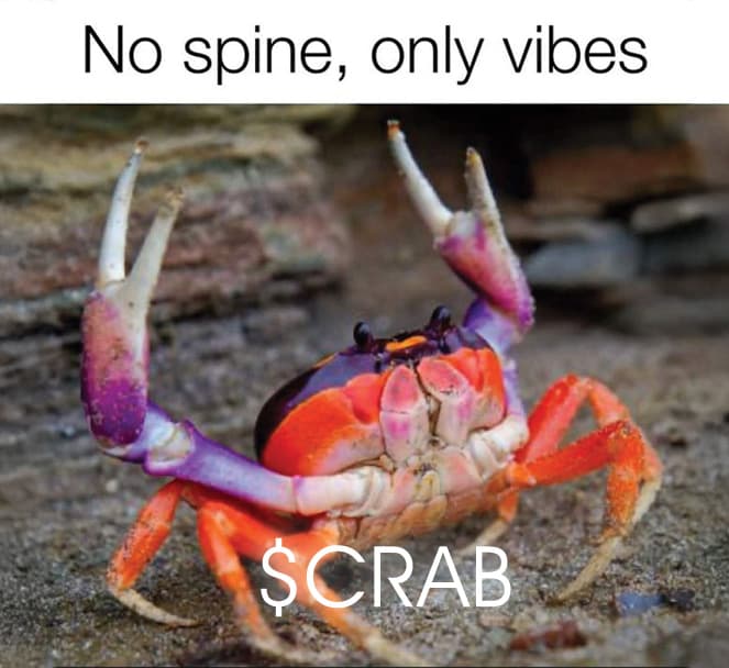 Meme 3